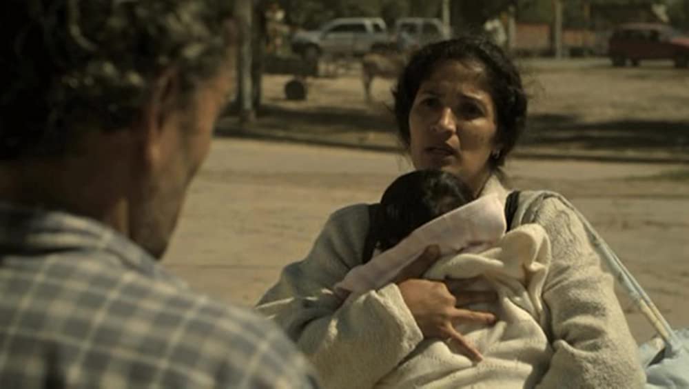 アカシアの通る道の画像