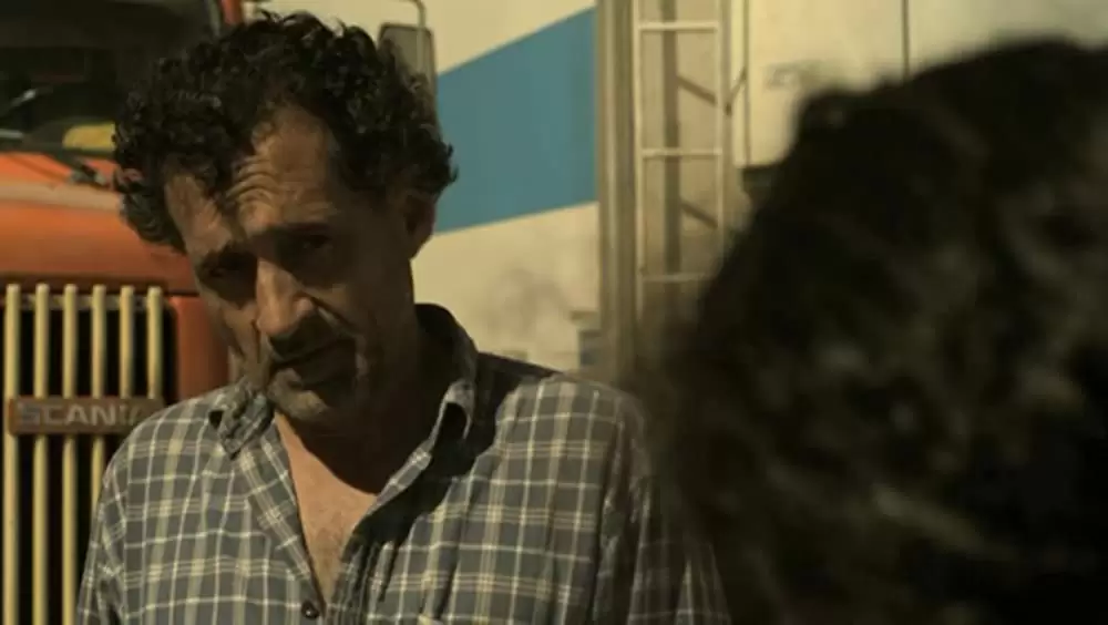 アカシアの通る道の画像