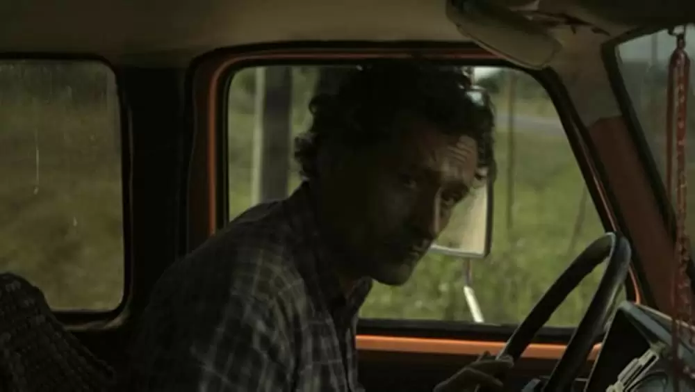 アカシアの通る道の画像