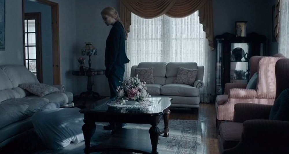 A Vigilante（原題）の画像