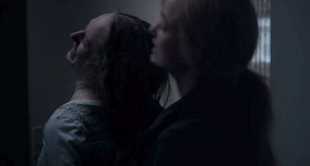 A Vigilante（原題）の画像