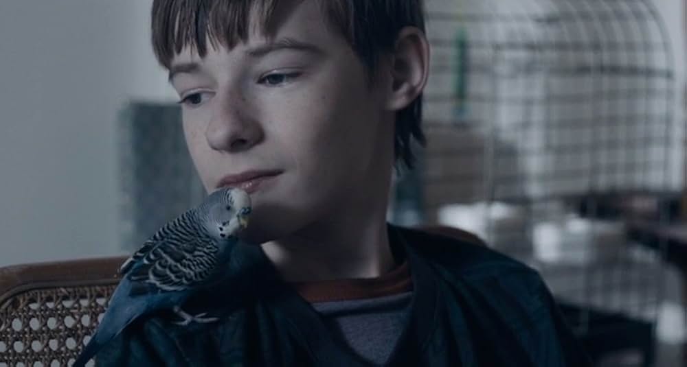 A Vigilante（原題）の画像