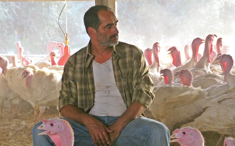 Baba Joon（原題）の画像