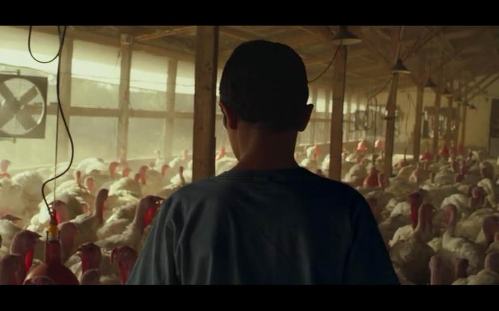 Baba Joon（原題）の画像