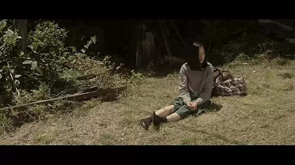 岸辺の旅の画像