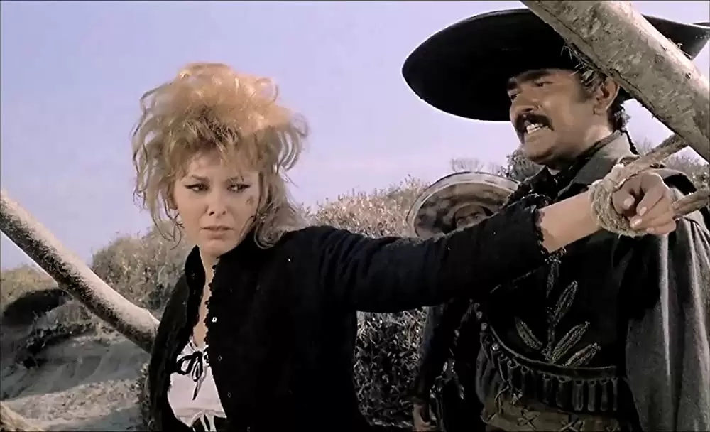 続・荒野の用心棒の画像