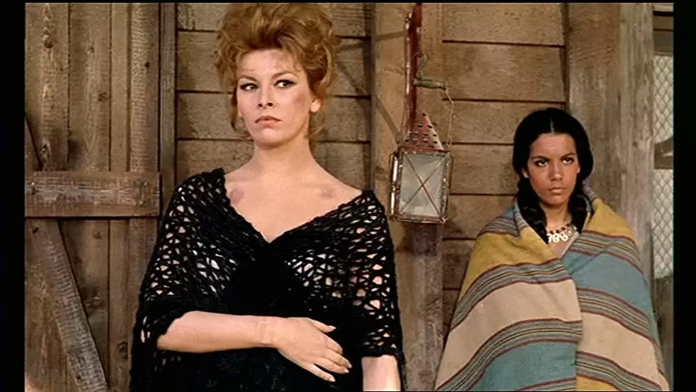 続・荒野の用心棒の画像