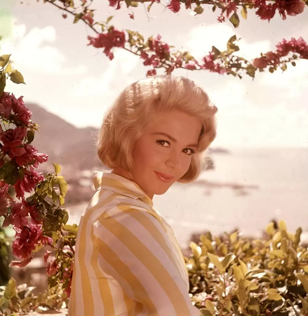 九月になればの画像