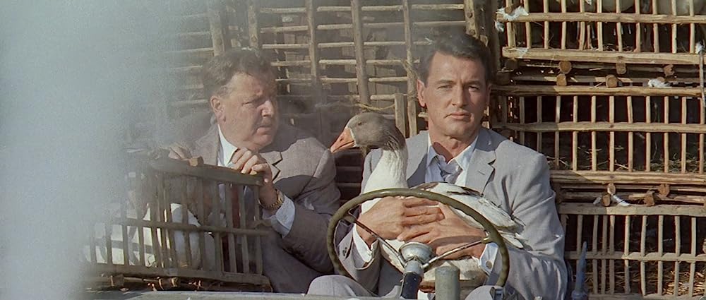 九月になればの画像