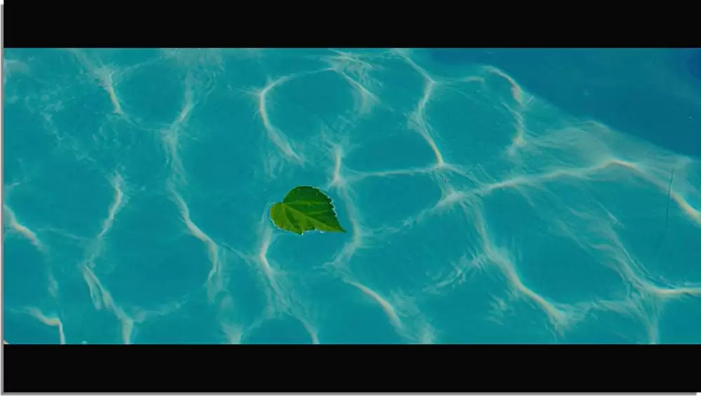 きっと ここが帰る場所の画像