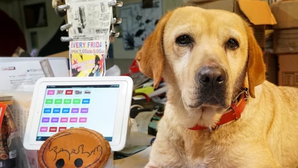 とんかつDJアゲ太郎の画像