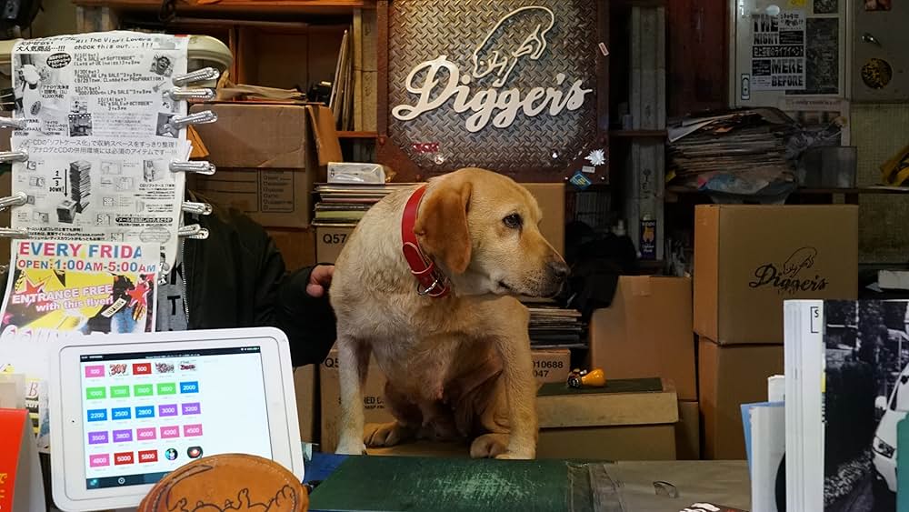 とんかつDJアゲ太郎の画像