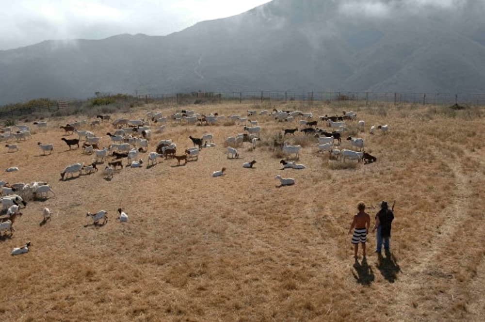 サーファーのプライドの画像