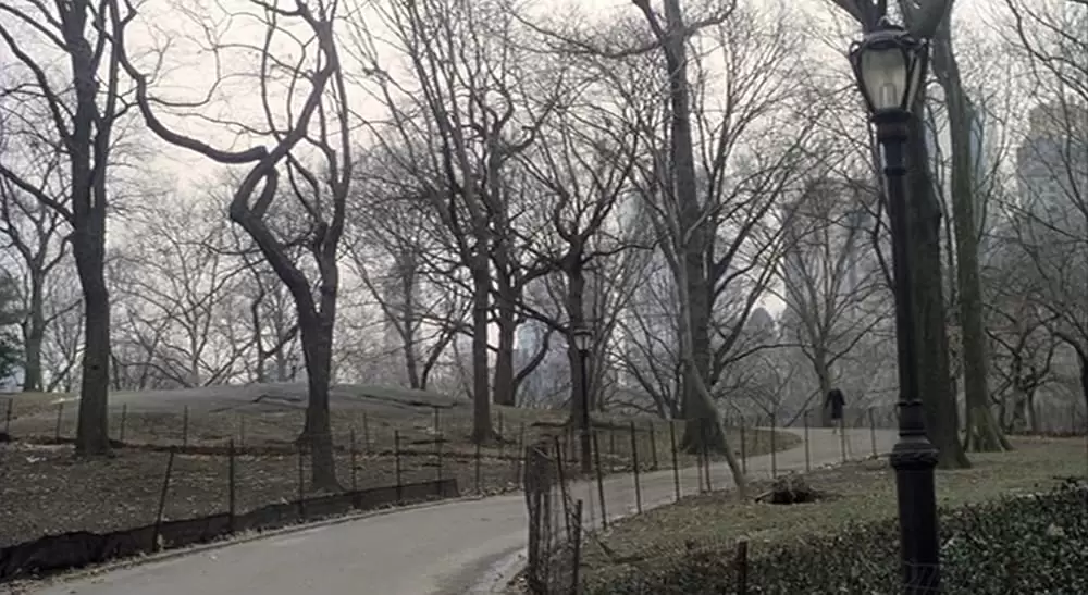 記憶の棘の画像