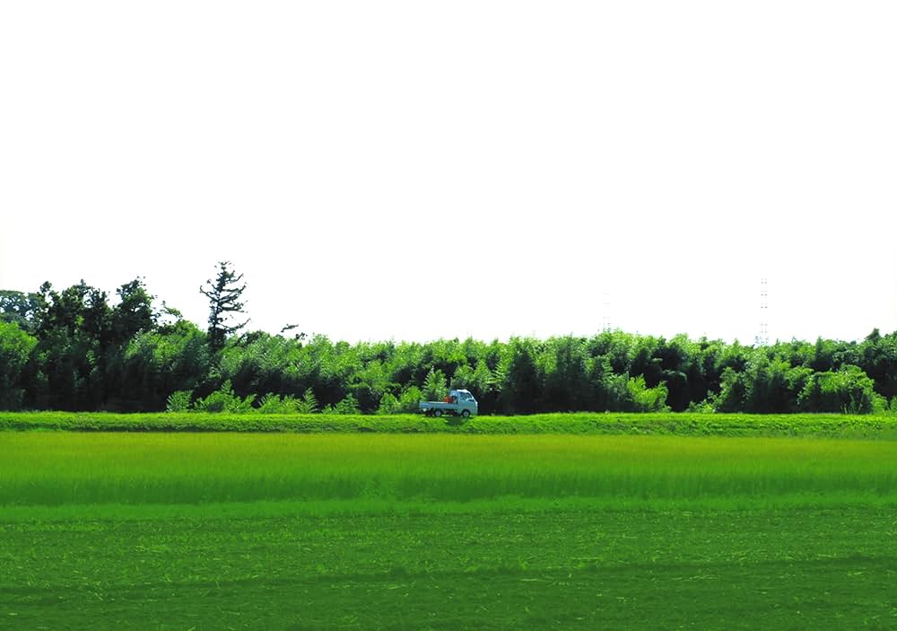 棘の中にある奇跡 笠間の栗の木下家の写真