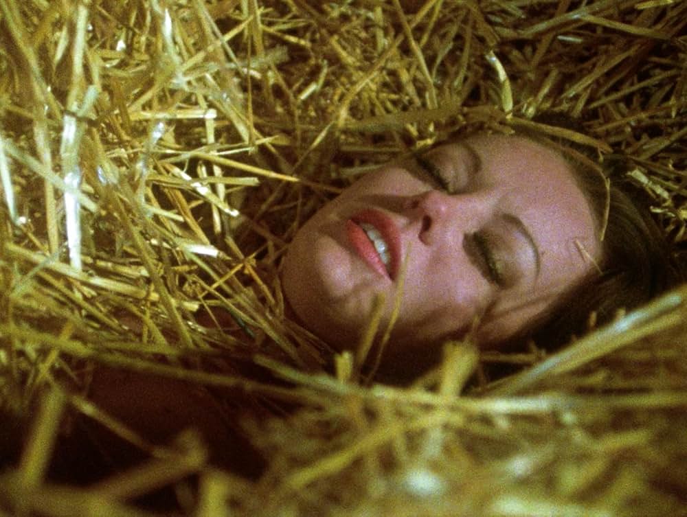 Fantasm Comes Again（原題）の画像