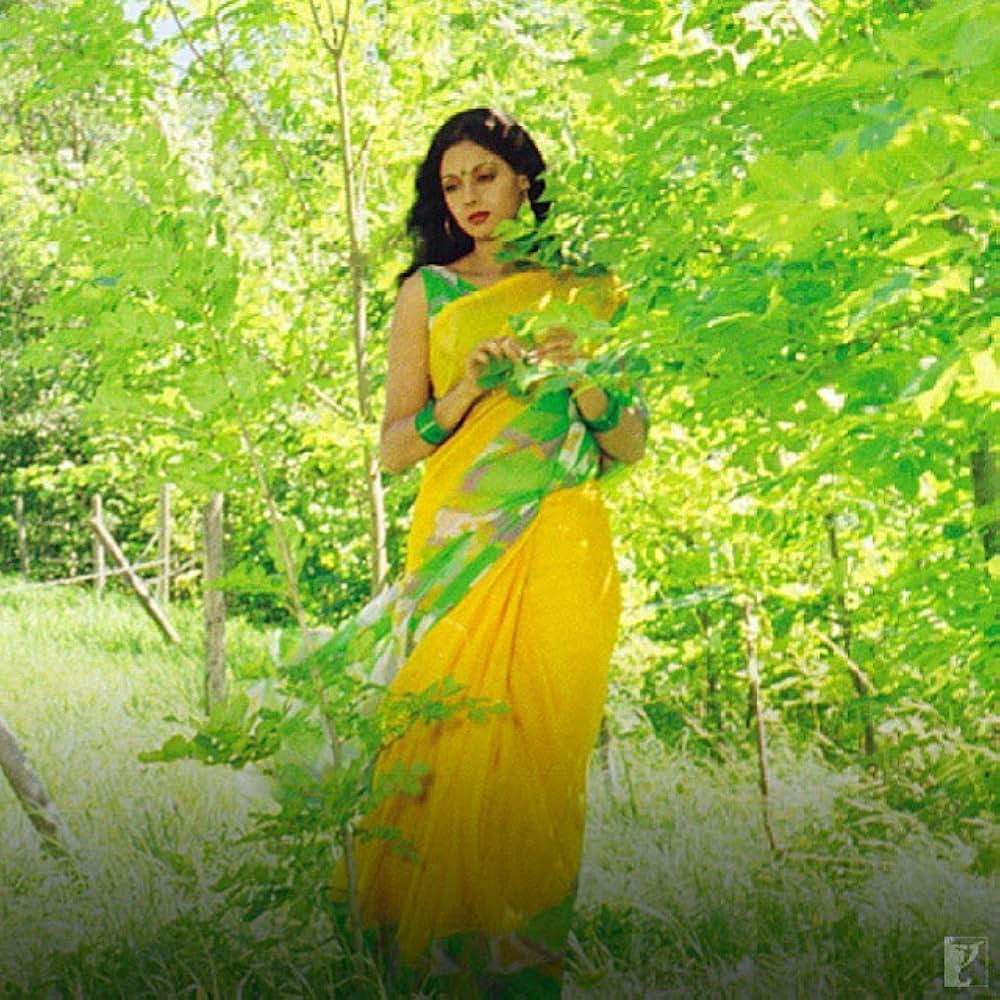 Chandni（原題）の画像