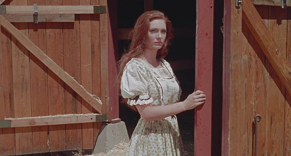 Dream No Evil（原題）の写真