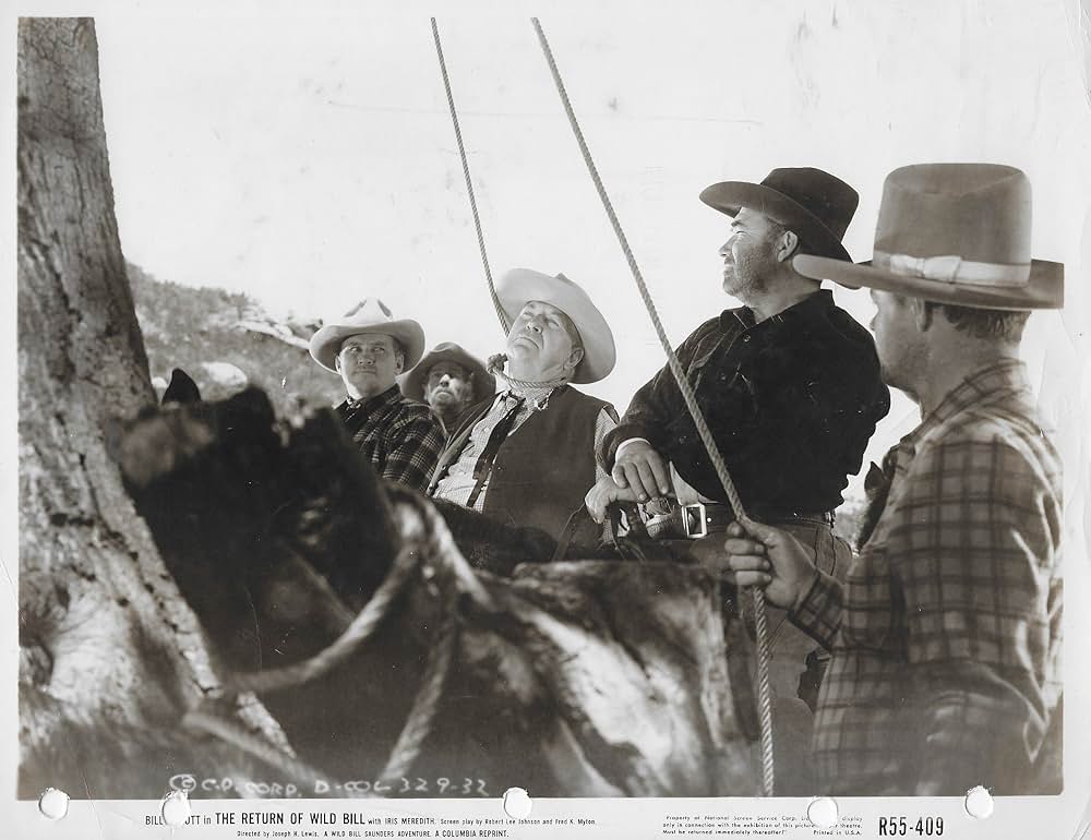 帰ってきたワイルド・ビルの画像