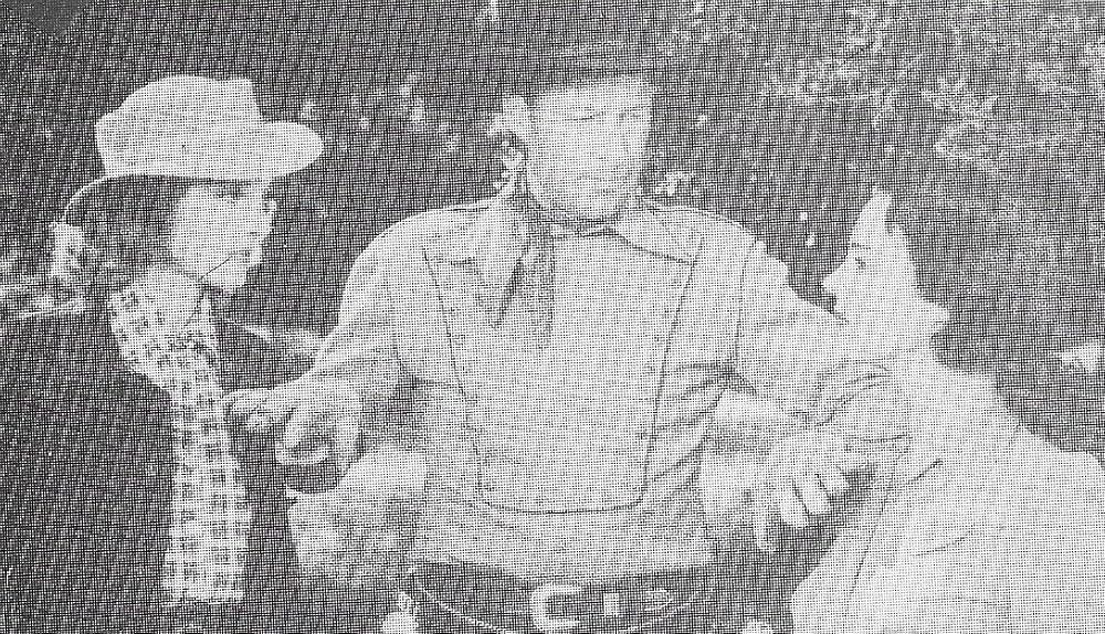 帰ってきたワイルド・ビルの画像