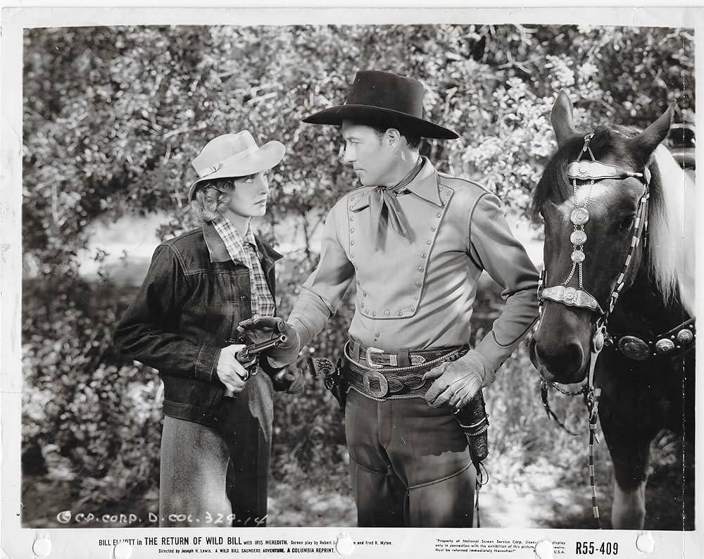 帰ってきたワイルド・ビルの画像