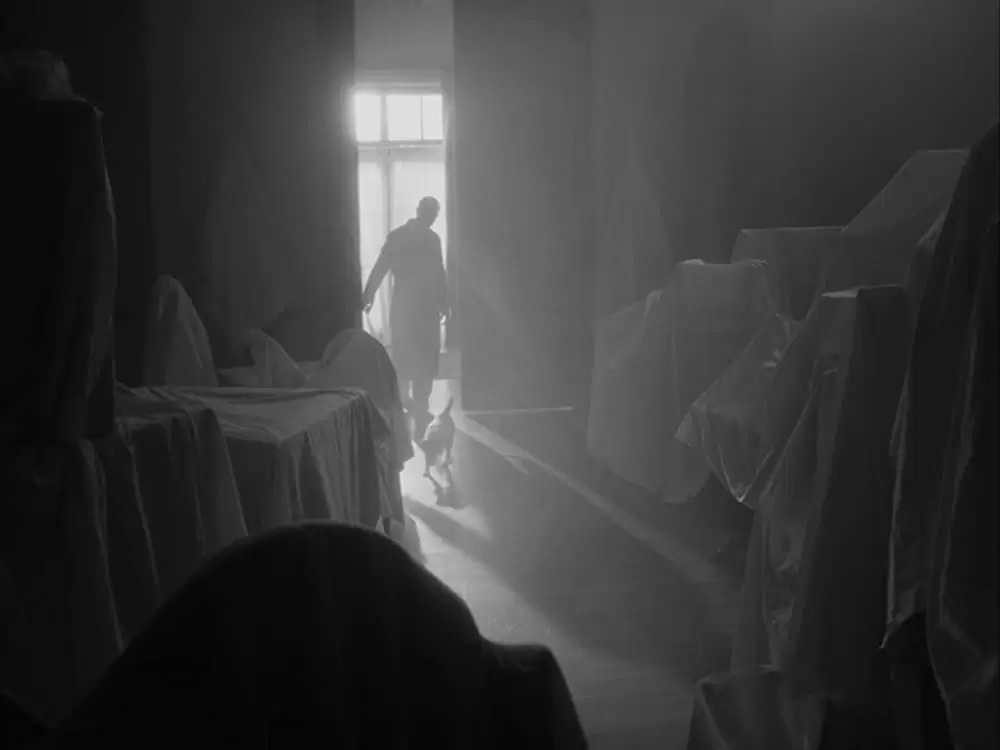 アーティストの画像