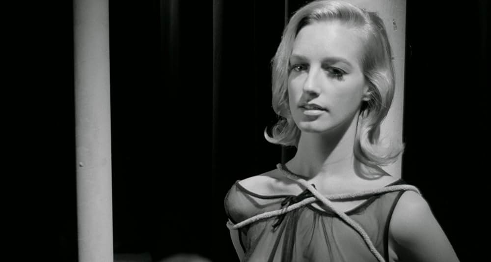 Red Roses of Passion（原題）の画像