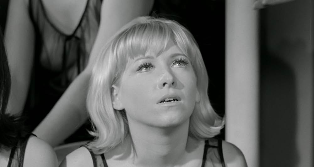 Red Roses of Passion（原題）の画像