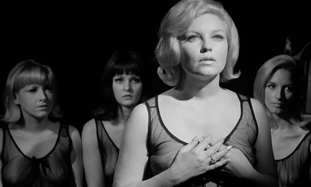 Red Roses of Passion（原題）の写真