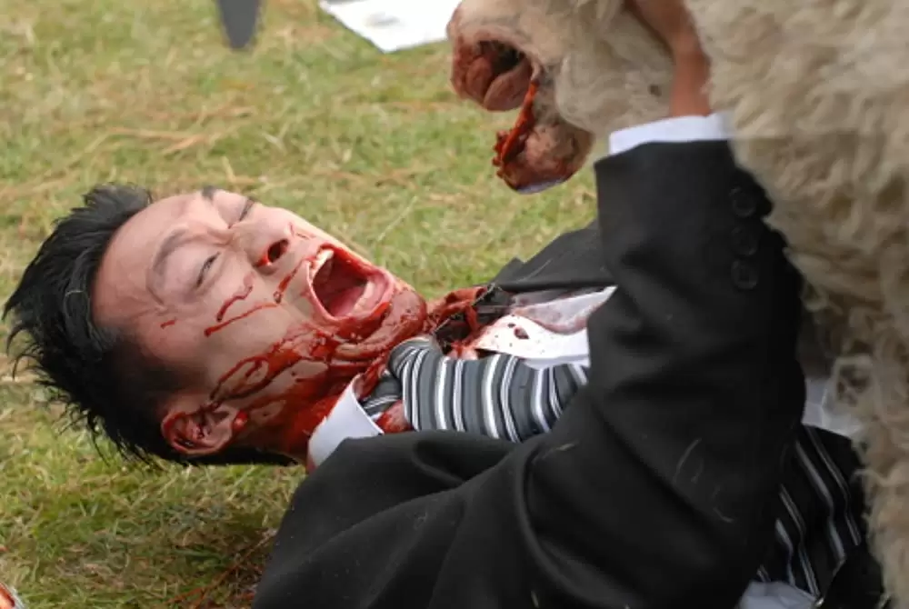 ブラックシープの画像