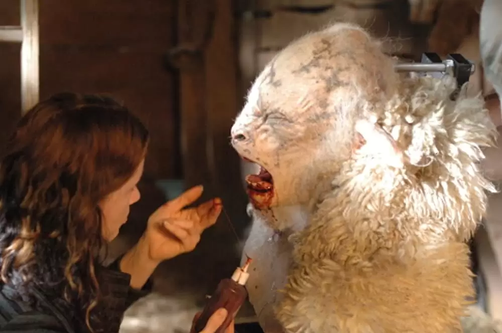 ブラックシープの画像