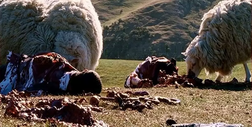 ブラックシープの画像