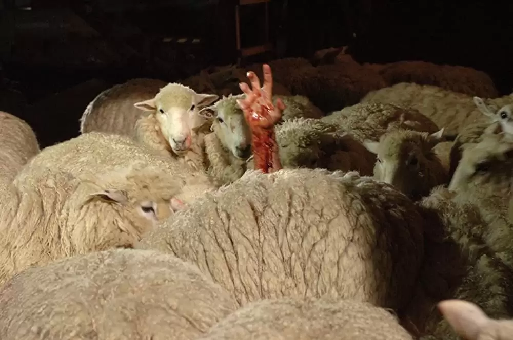 ブラックシープの画像