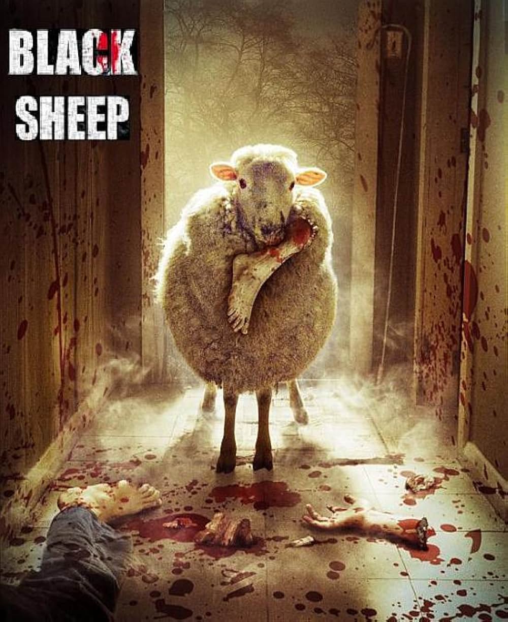 ブラックシープの画像