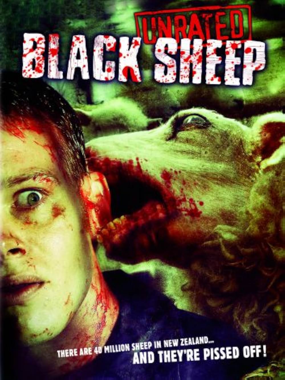 ブラックシープの画像