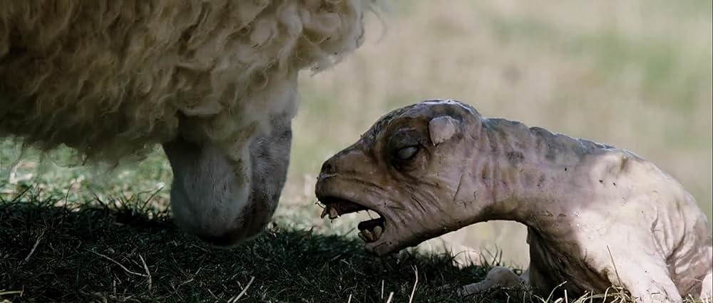 ブラックシープの画像