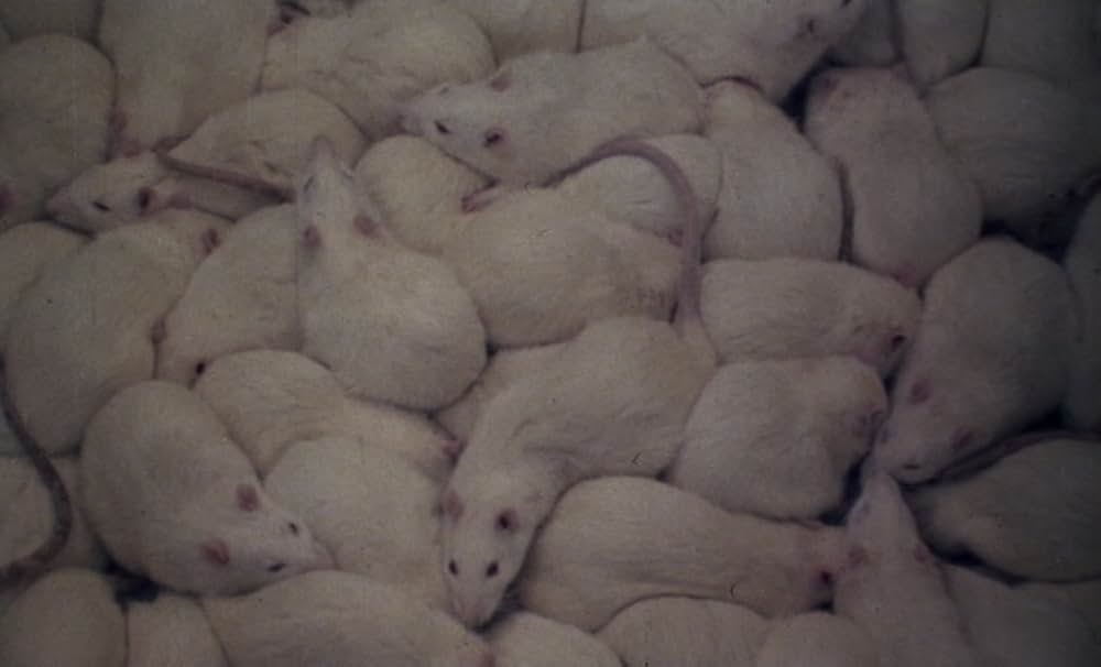 ゴーレムの画像