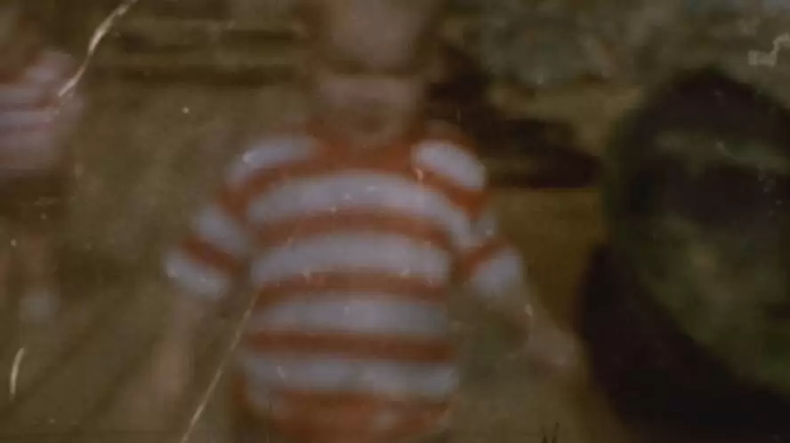 ハート・オブ・ドッグ〜犬が教えてくれた人生の練習〜の画像