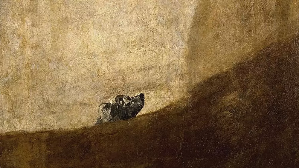 ハート・オブ・ドッグ〜犬が教えてくれた人生の練習〜の画像