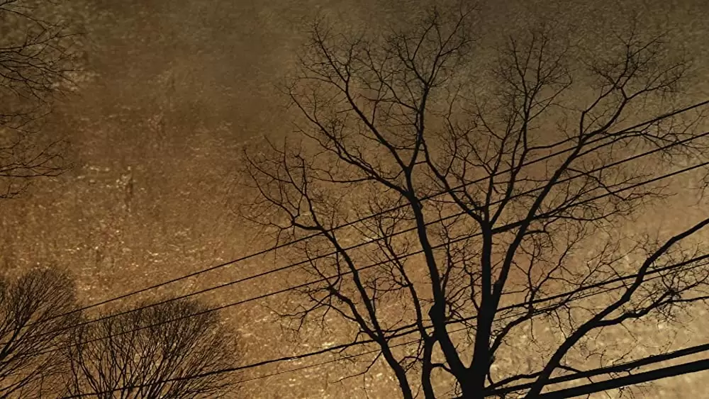 ハート・オブ・ドッグ〜犬が教えてくれた人生の練習〜の画像