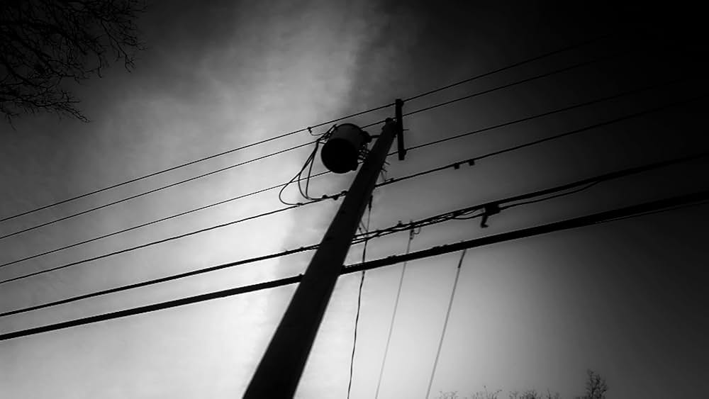 ハート・オブ・ドッグ〜犬が教えてくれた人生の練習〜の画像