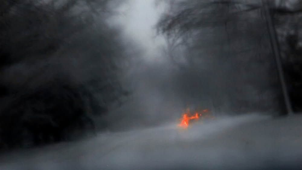 ハート・オブ・ドッグ〜犬が教えてくれた人生の練習〜の画像