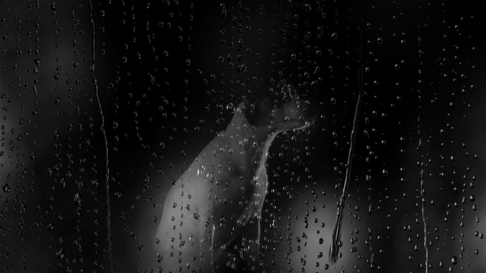 ハート・オブ・ドッグ〜犬が教えてくれた人生の練習〜の画像