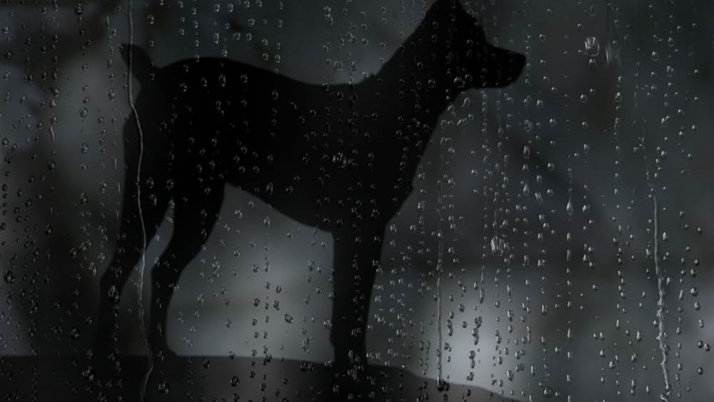 ハート・オブ・ドッグ〜犬が教えてくれた人生の練習〜の画像