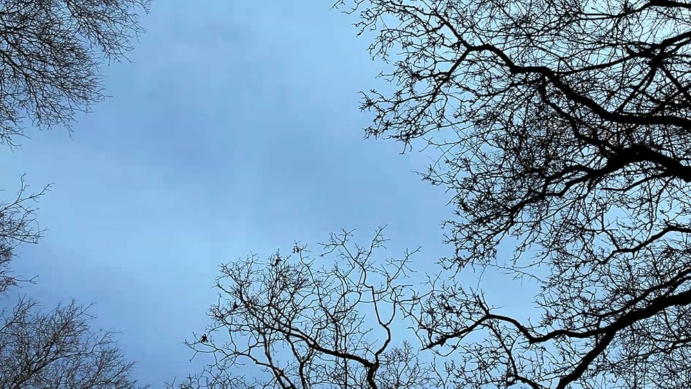 ハート・オブ・ドッグ〜犬が教えてくれた人生の練習〜の画像