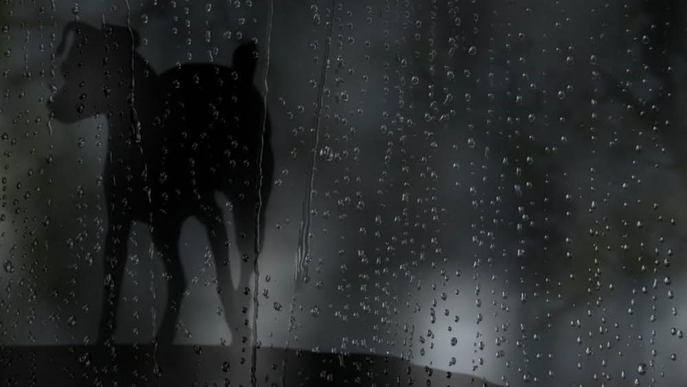 ハート・オブ・ドッグ〜犬が教えてくれた人生の練習〜の画像