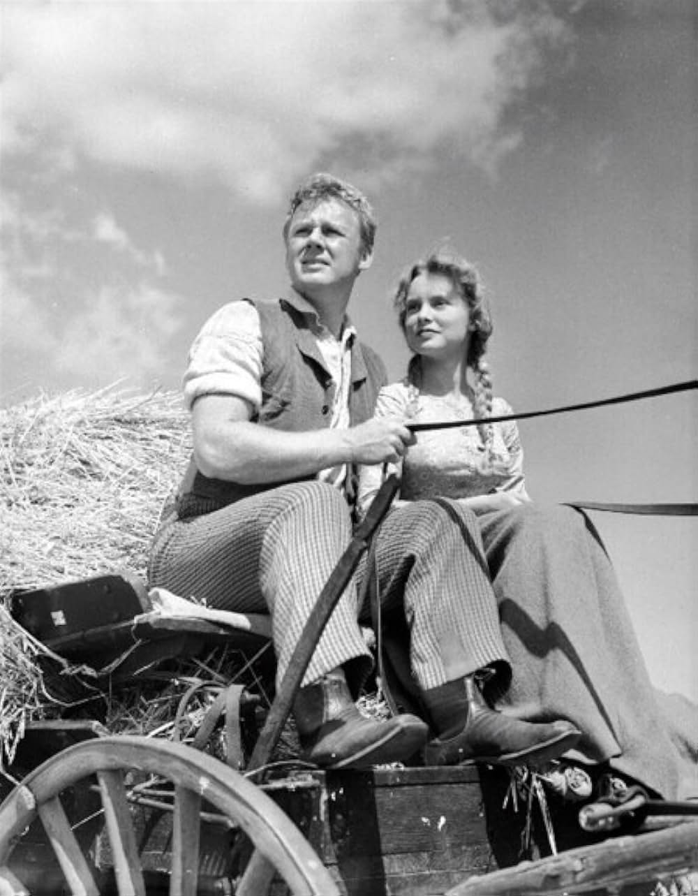 The Romance of Rosy Ridge（原題）の画像