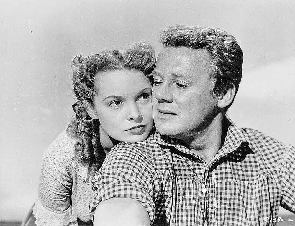 The Romance of Rosy Ridge（原題）の画像