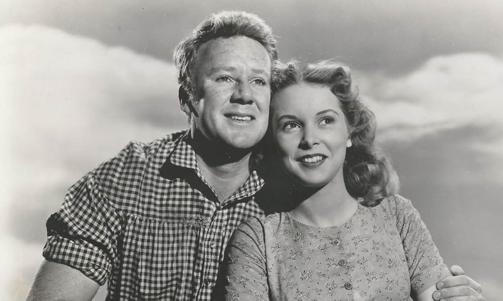 The Romance of Rosy Ridge（原題）の画像