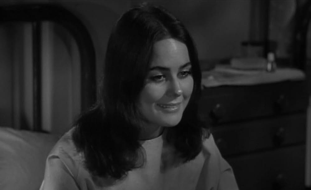 The Caretakers（原題）の画像